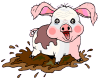  Little Pig 