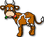  Cow 