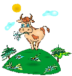  Cow 