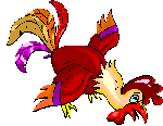  Rooster 