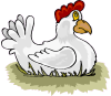  Poultry Recipes 