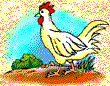  Poultry Recipes 