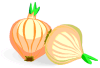  Onions 
