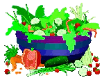  Salad 