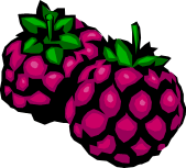 Raspberries 